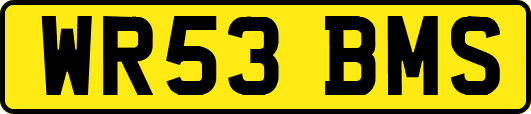 WR53BMS