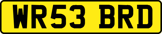 WR53BRD