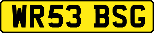 WR53BSG