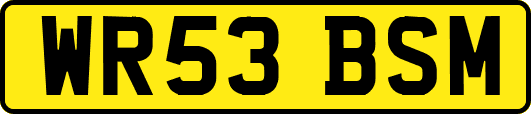 WR53BSM