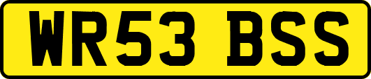 WR53BSS