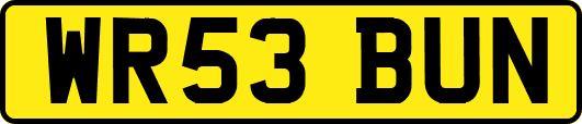 WR53BUN