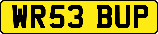 WR53BUP