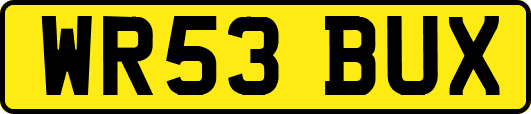 WR53BUX