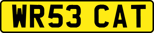 WR53CAT
