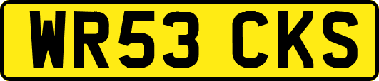 WR53CKS