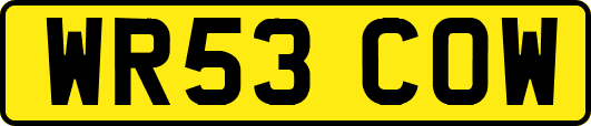 WR53COW