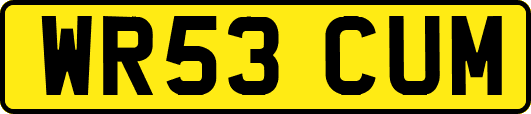 WR53CUM