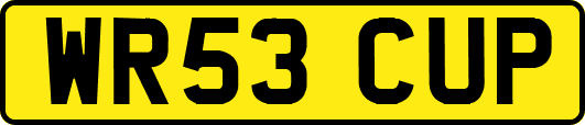 WR53CUP