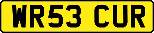WR53CUR