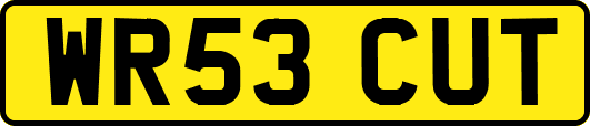 WR53CUT