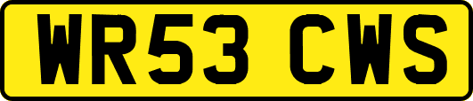 WR53CWS