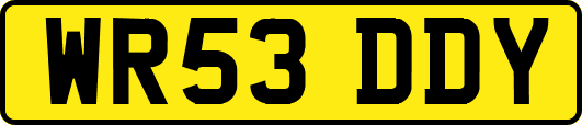 WR53DDY