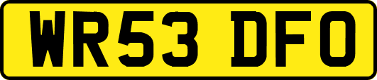 WR53DFO