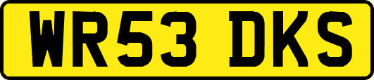 WR53DKS