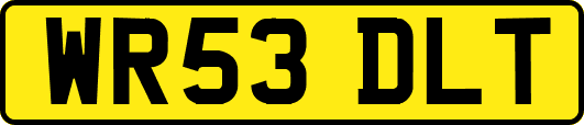 WR53DLT
