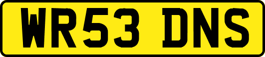 WR53DNS