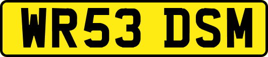 WR53DSM