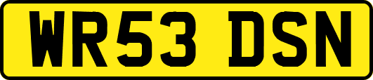 WR53DSN