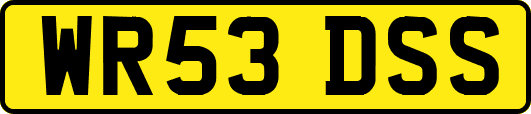 WR53DSS