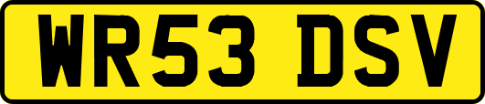 WR53DSV