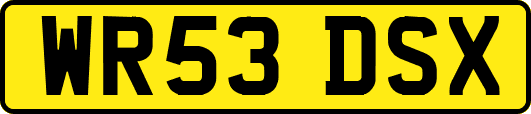 WR53DSX