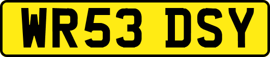 WR53DSY