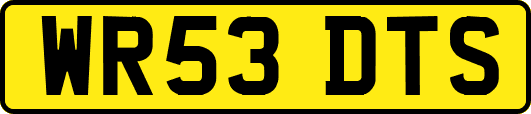 WR53DTS
