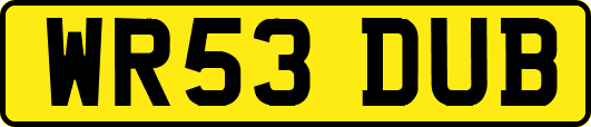 WR53DUB