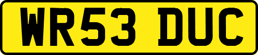WR53DUC