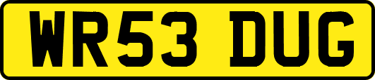WR53DUG