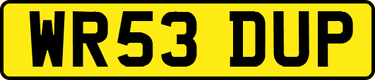 WR53DUP