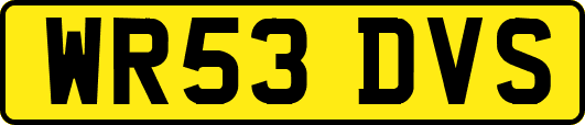 WR53DVS