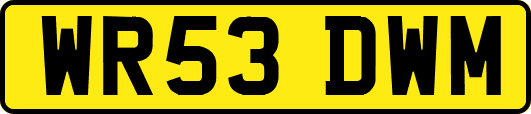 WR53DWM