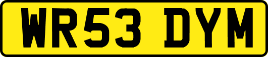 WR53DYM