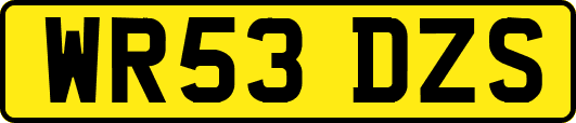 WR53DZS