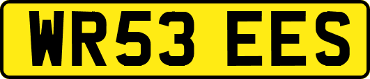 WR53EES