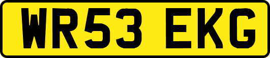WR53EKG