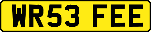 WR53FEE