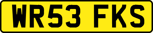 WR53FKS