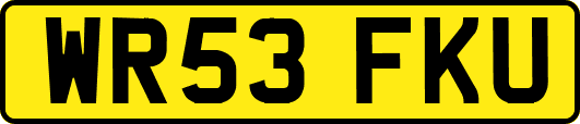 WR53FKU
