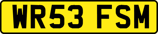 WR53FSM