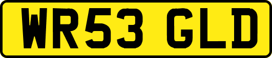 WR53GLD