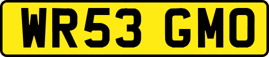 WR53GMO