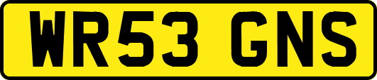 WR53GNS