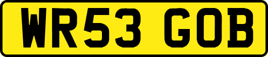 WR53GOB