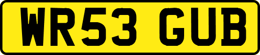 WR53GUB