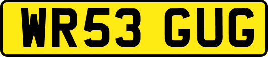 WR53GUG