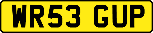 WR53GUP