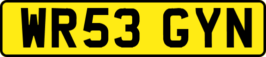 WR53GYN
